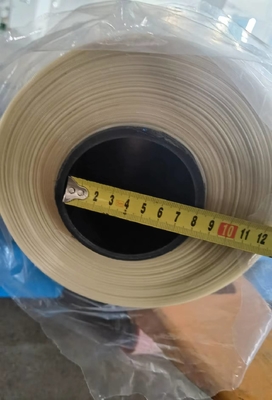 High Temperature Resistance and Chemical Resistance Polyphenylene Sulfide PPS Mesh